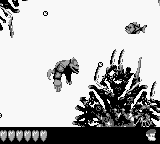 screenshots/Game Boy/Donkey Kong Land 3/Donkey Kong Land III (USA, Europe)_49.png